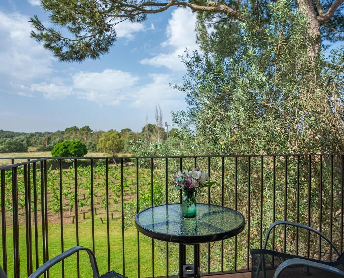 Finca Agroturismo Son Menut Felanitx