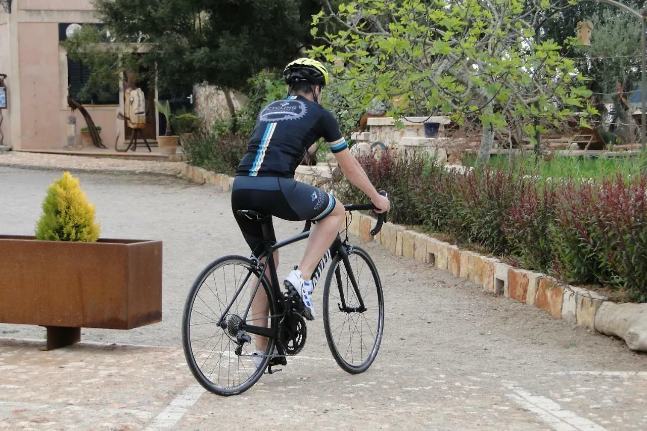 Finca Agroturismo Son Menut Felanitx